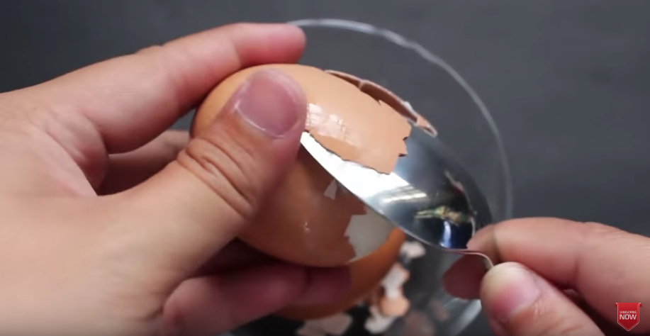 卵のからの隙間からスプーンを潜らせて殻をむく