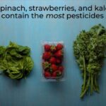 絶対に知っておきたい野菜と果物のかしこい下処理方法10選