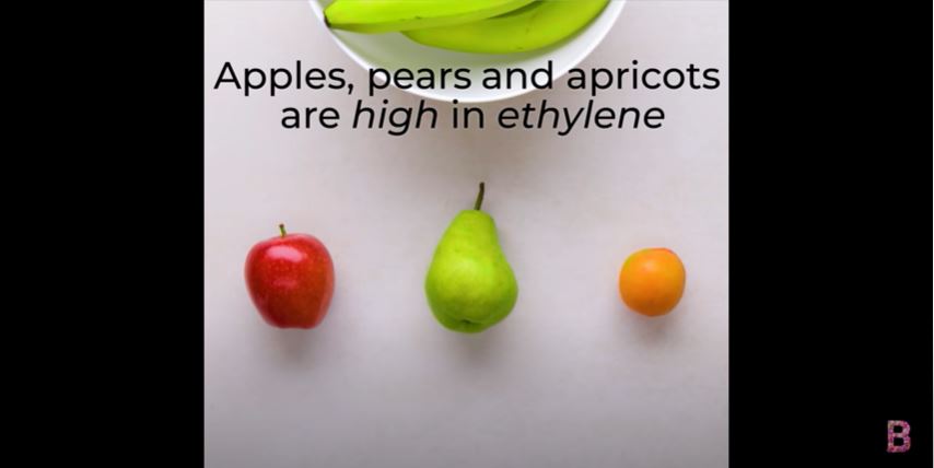 リンゴや梨はエチレンガスの放出量が多い