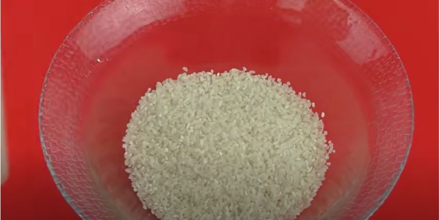 適当な容器に米を敷き詰める